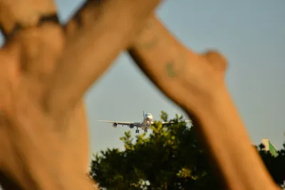 DSC_5744 (Large).JPG